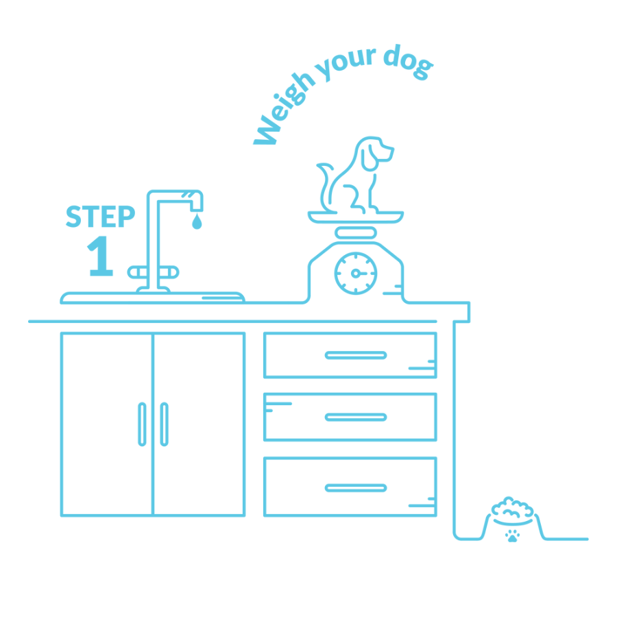 Subscribe & Save step 1