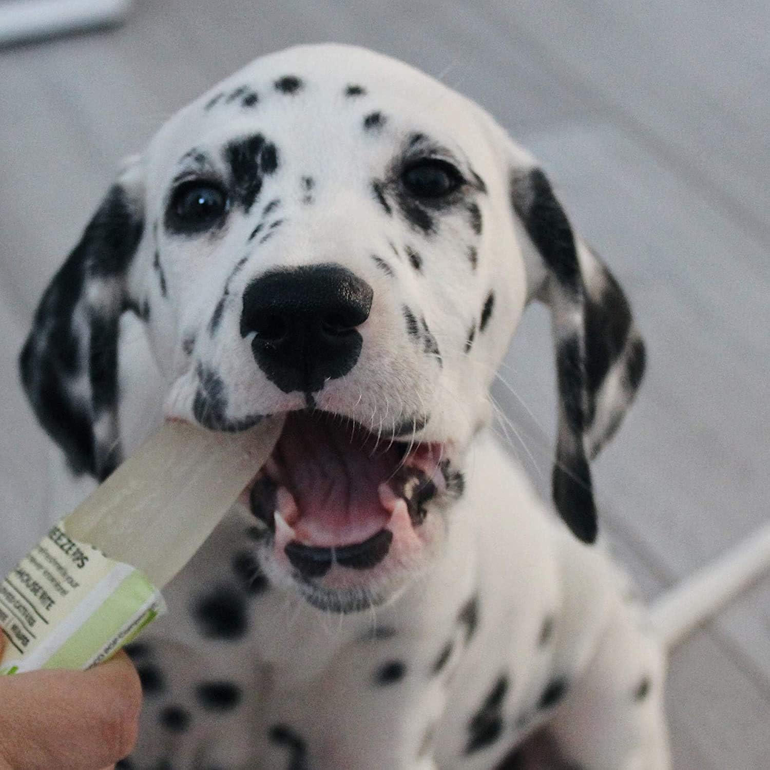 PAW POPS COOLING ICE POPS FOR DOGS. READY TO FREEZE