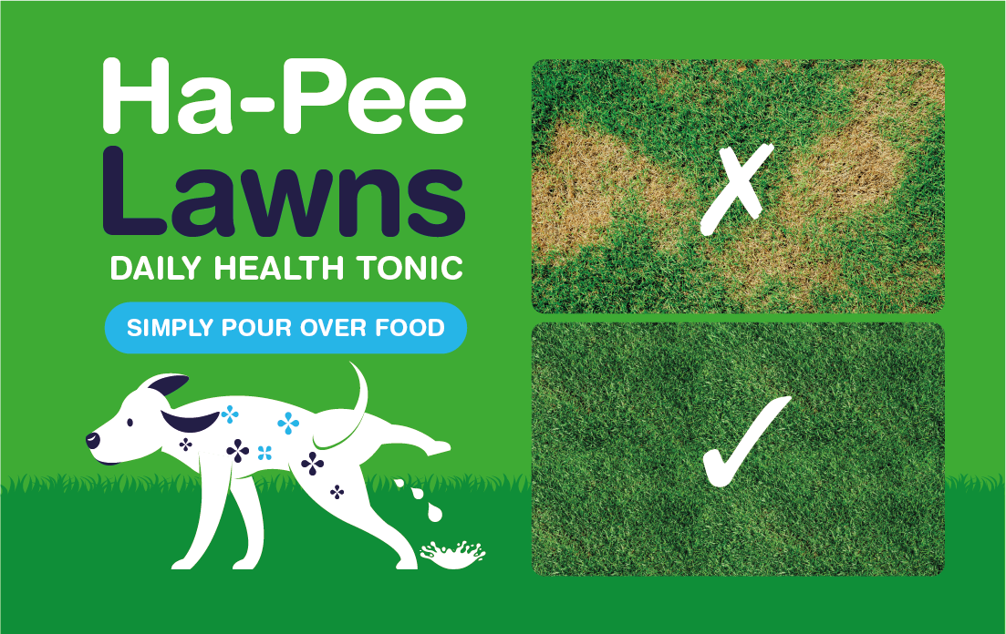 Woof&brew hapee lawns grass before and after