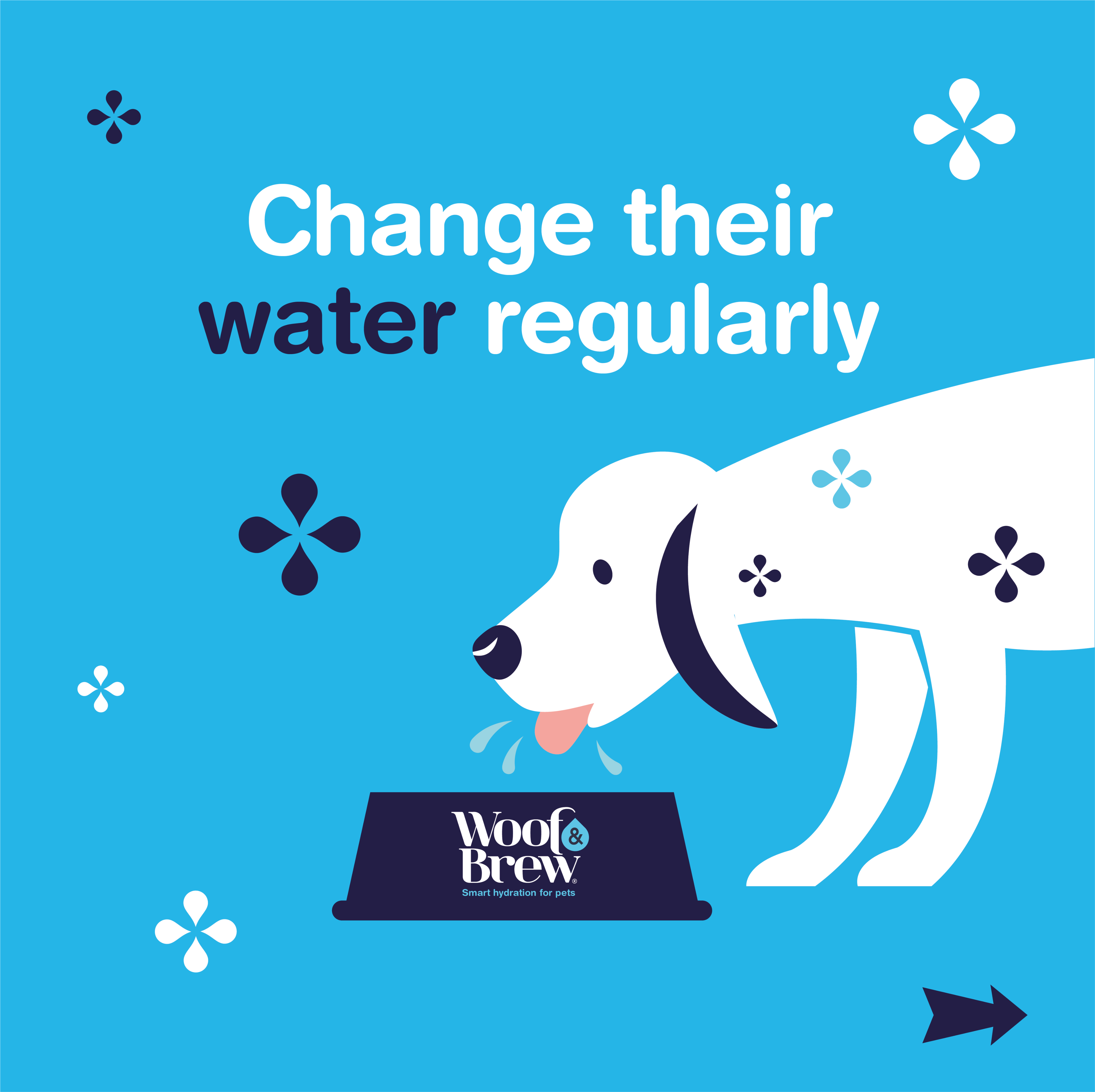 Change your dogs water regularly