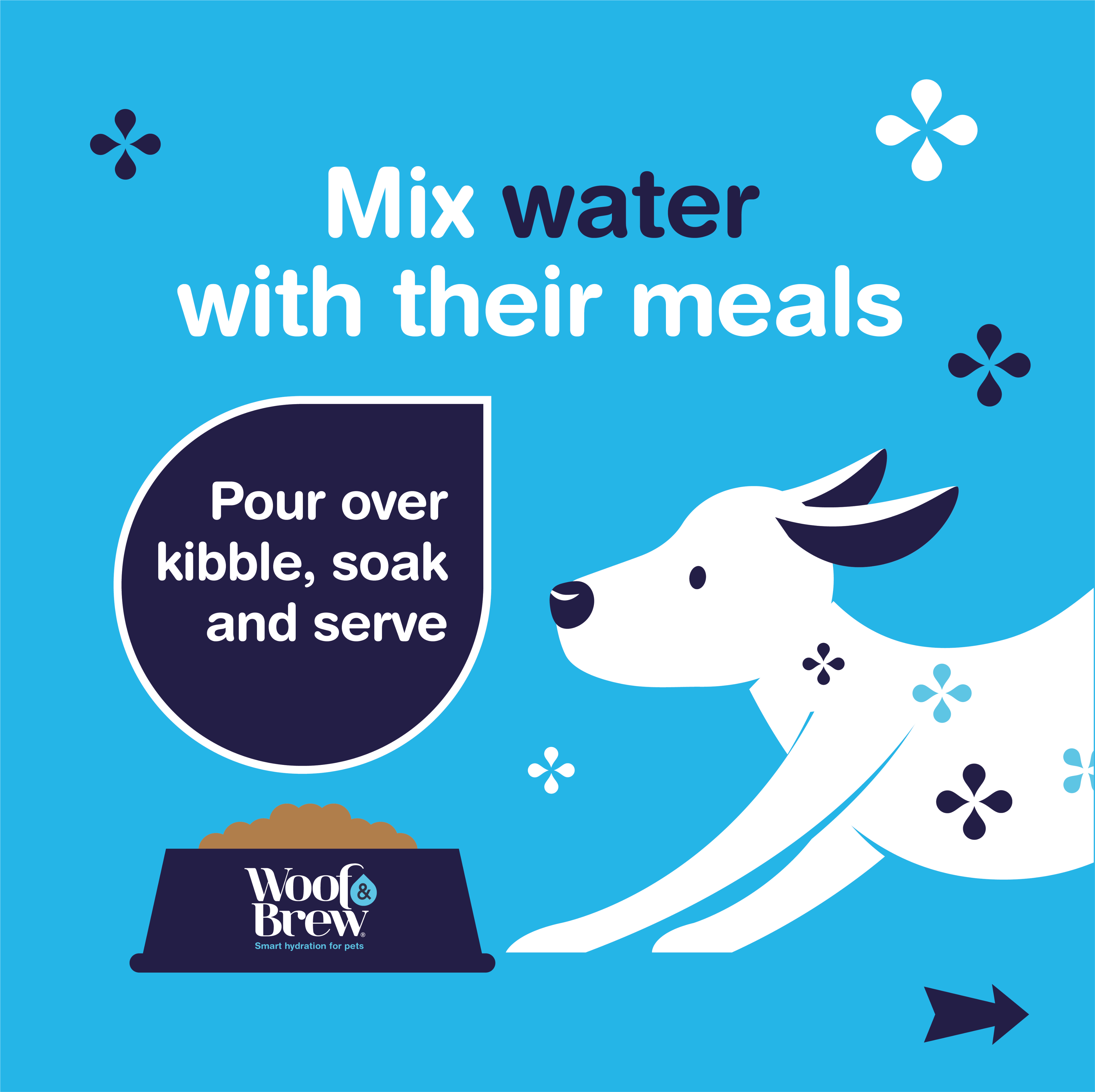 Mix water with your dogs meals