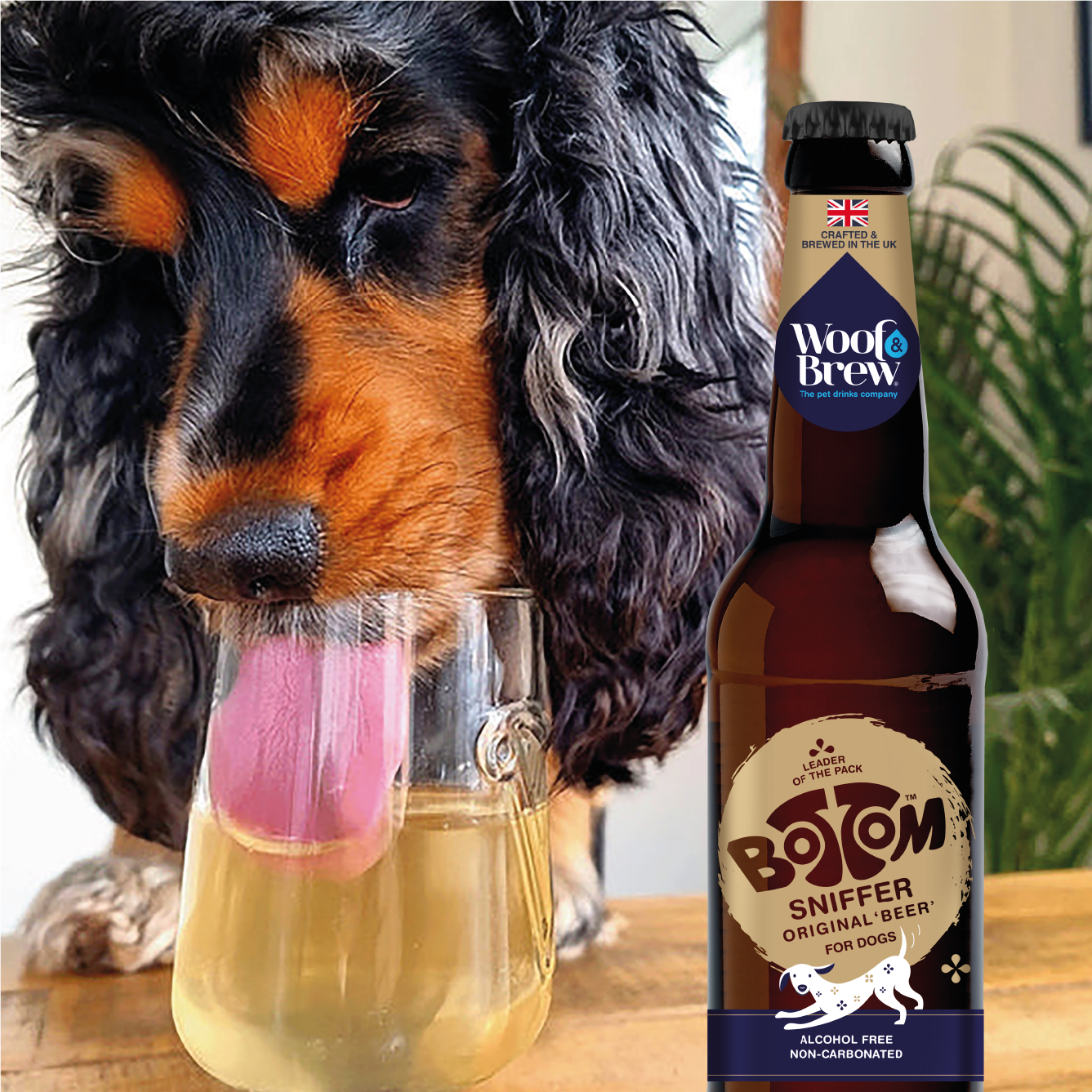 BOTTOM SNIFFER DOG 'BEER' -TRIO PACK