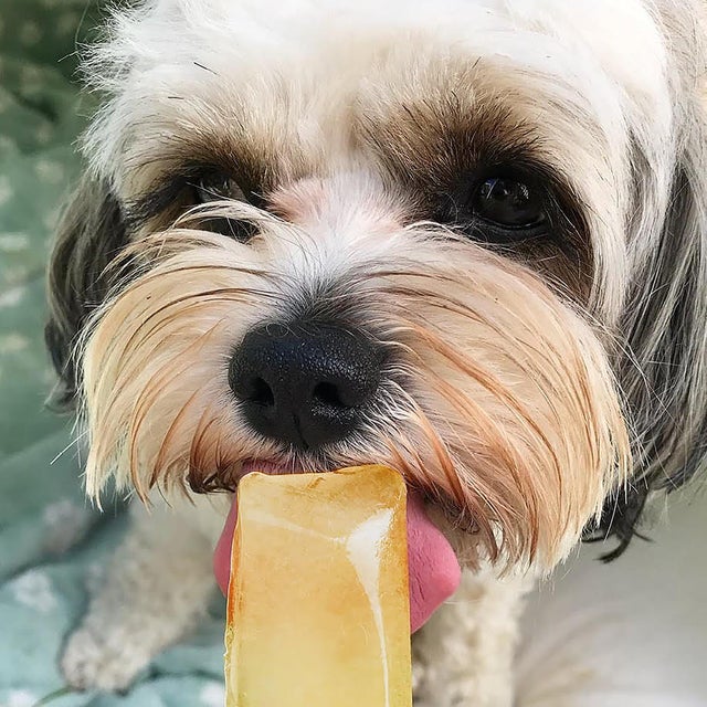 PAW POPS COOLING ICE POPS FOR DOGS. READY TO FREEZE