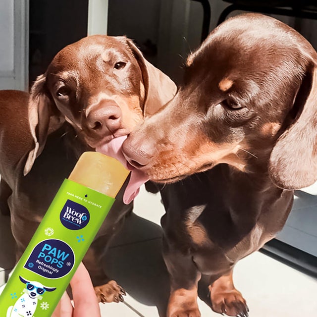 PAW POPS COOLING ICE POPS FOR DOGS. READY TO FREEZE