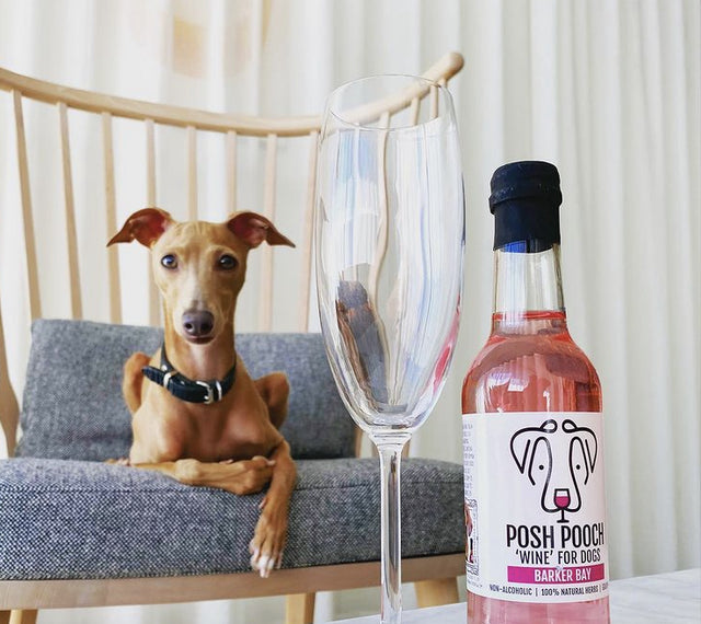 POSH POOCH DOG 'WINE' TRIO PACK