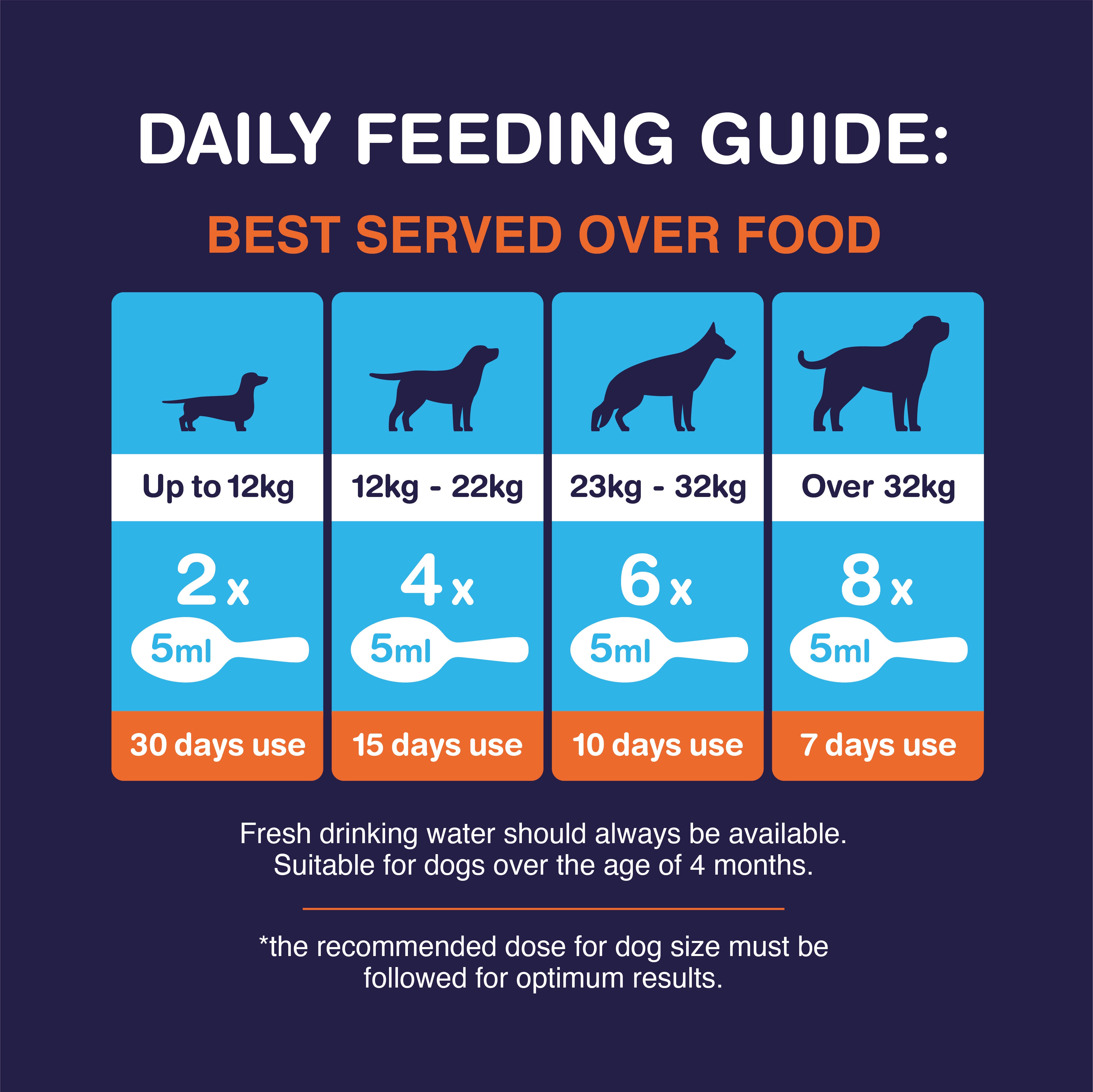 Senior Hound feeding guide for dogs